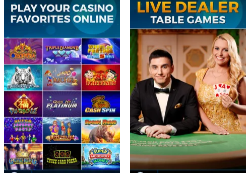 Betrivers MI Casino App