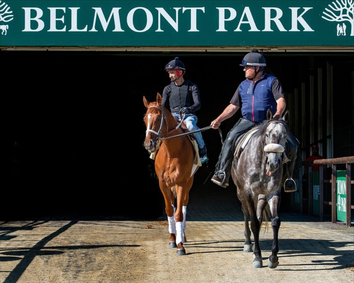 Belmont Stakes Odds, Horses & Dates